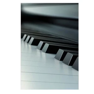 Tela Instrumento Musical