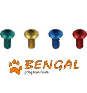 Parafuso BENGAL M5x10 Disco (12) Dourado