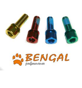 Parafuso BENGAL M6x20 Bomba Travão Azul (50)