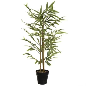 Planta Bambu